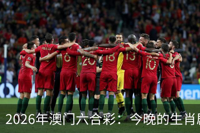 2026年澳门六合彩：今晚的生肖剧透大揭秘！